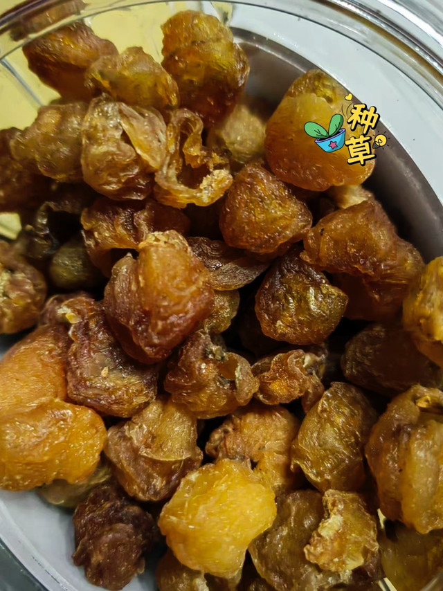 「广东龙眼干，美味与健康的完美结合!」