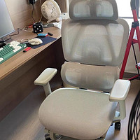 永艺撑腰椅Act100pro人体工学椅电脑椅办公座椅子舒适久坐电竞椅