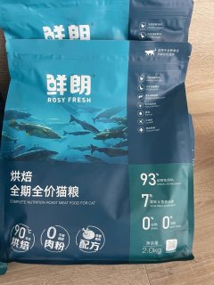 烘焙猫粮新星登场