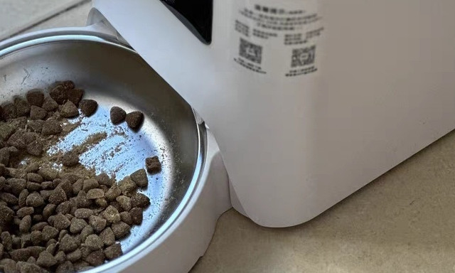 宠物喂食的智能化革命：宠上宠5G自动喂食器的神奇便利
