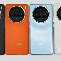 vivo X100和vivo X100 Pro有何区别，哪款更值得入手？