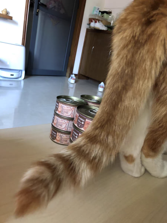 扑呀！猫粮