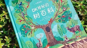 母婴实测好物 篇三十九：《DK神秘的树百科》——带孩子探寻树木的秘密