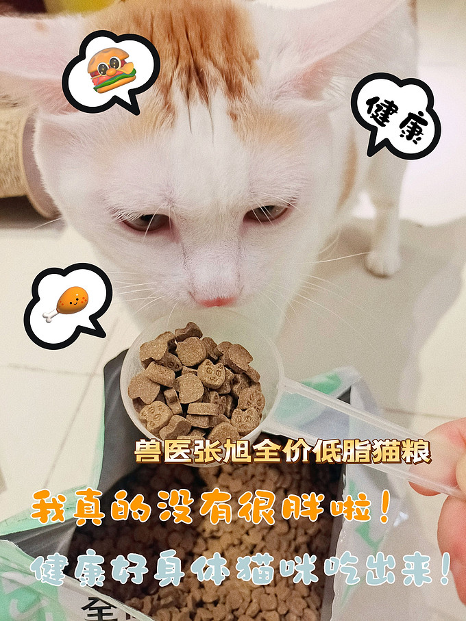 猫粮