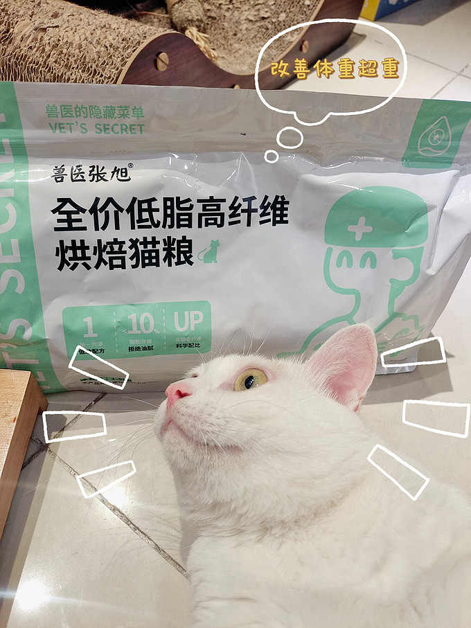 猫粮