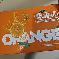 双11买的橙子，别说还真的很甜
