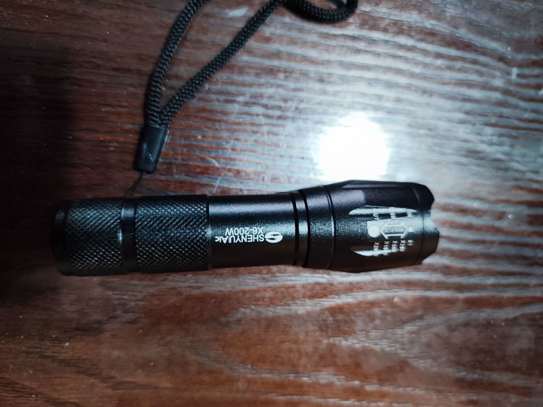 神鱼手电筒,人手一个!