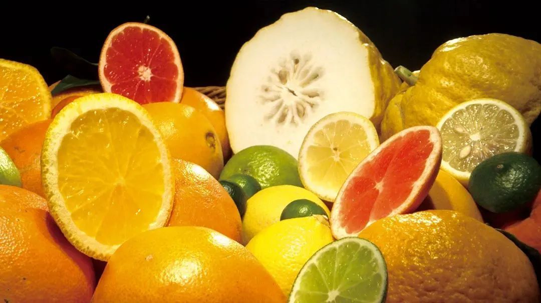 常见的柑橘包括橘、柑、柚、橙、金橘、柠檬等。中国是柑橘的重要原产地之一，栽培历史已超四千年。©网络
