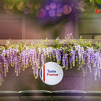 French House 南法花园，直击法式美食与生活艺术新体验！