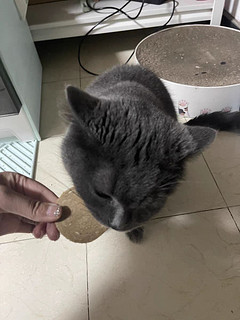 🐱麦富迪猫咪零食冻干猫零食