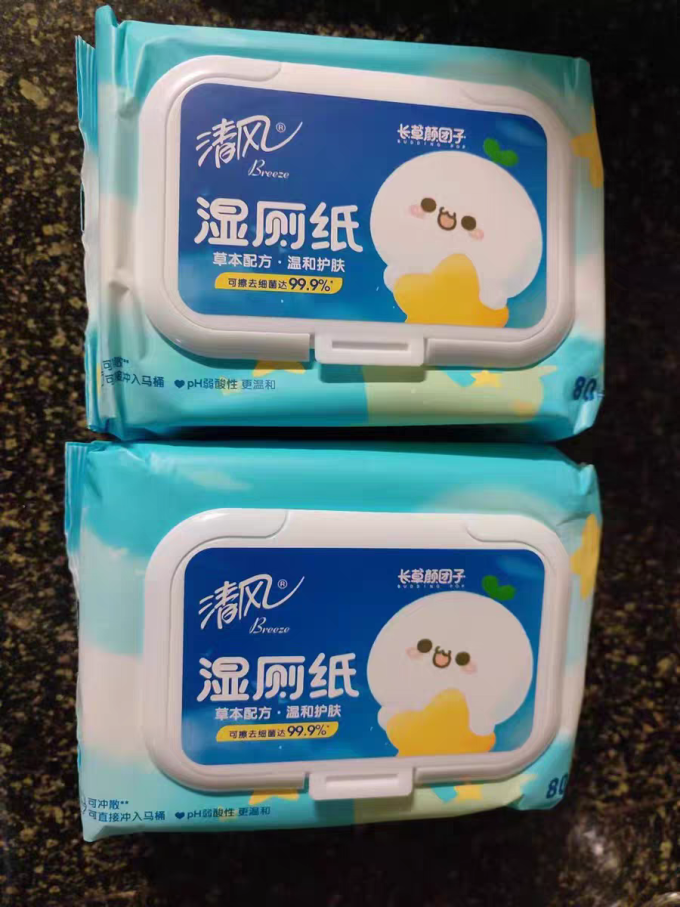 湿厕纸