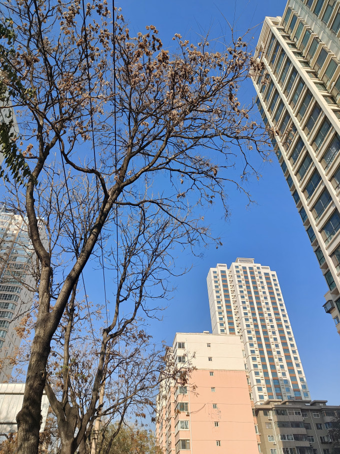 斯凯奇其他文化娱乐