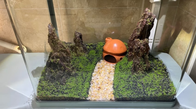 森森超白玻璃鱼缸xhe480黑可增氧客厅小型桌面家用水族箱免安装