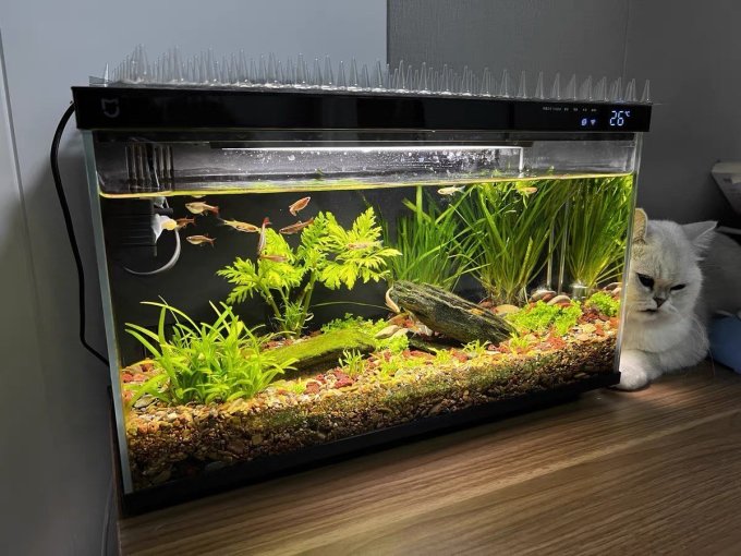 米家智能鱼缸/水族箱怎么样 很漂亮的小米智能鱼缸_什么值得买