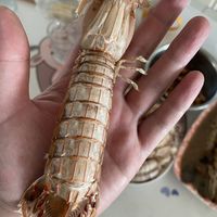 个个都一巴掌大的皮皮虾，50元买一盘子，还是我会买啊！