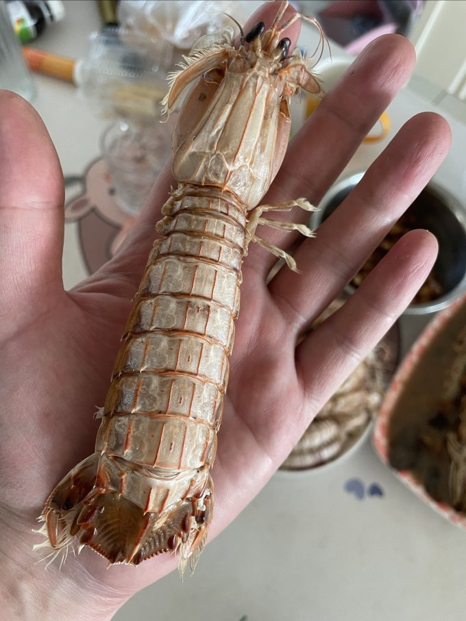海蕴极鲜虾类