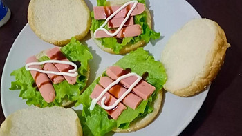 自制美味汉堡：从食材到餐桌的美味

