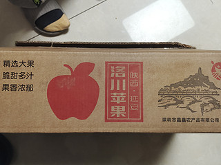 香脆多汁的红富士苹果