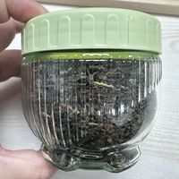 0元购猫爪密封罐，装个茶叶美滋滋