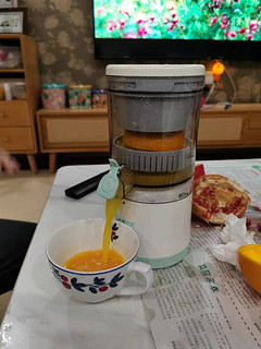 九阳榨汁机
