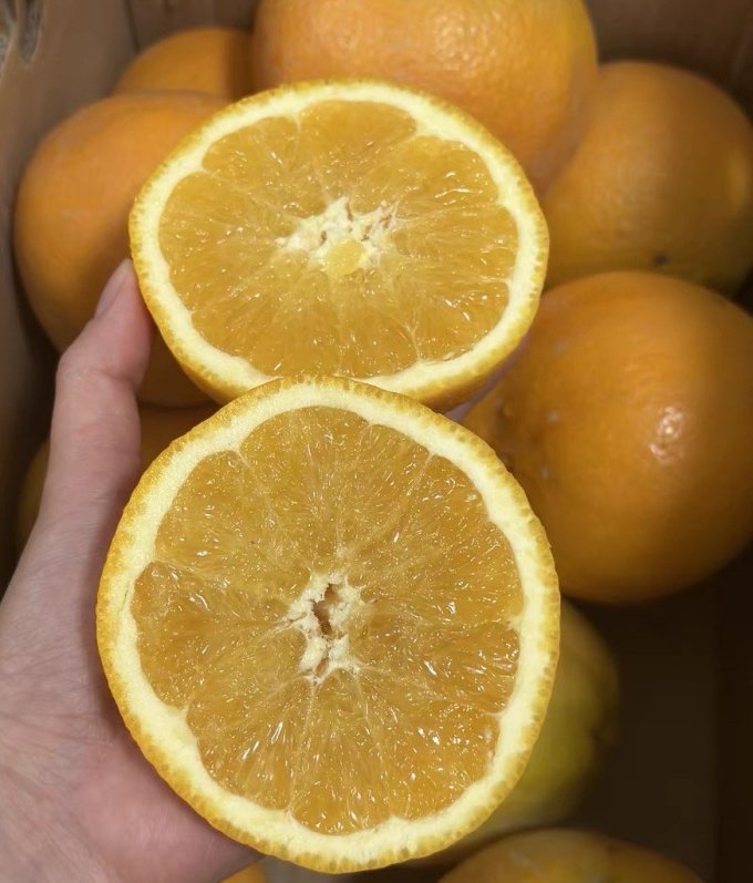 赣南脐橙新鲜水果