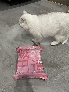 便宜又好吃的猫条