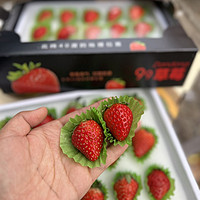 冬季的美味99草莓