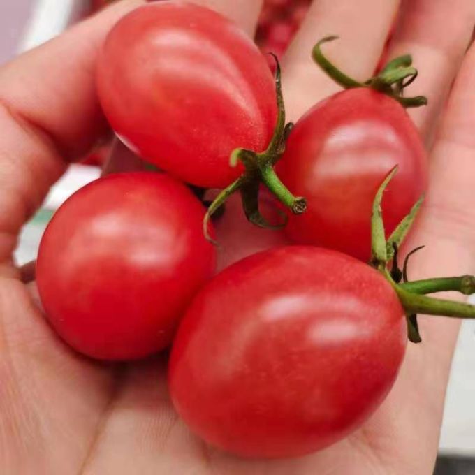 蔬菜