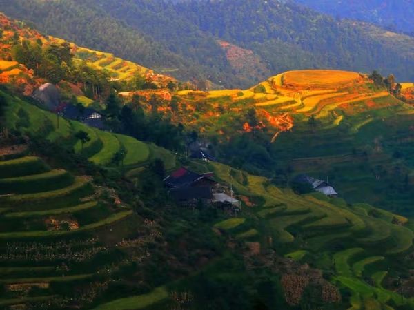 旅游:不想宅在家？那就去这些地方吧！