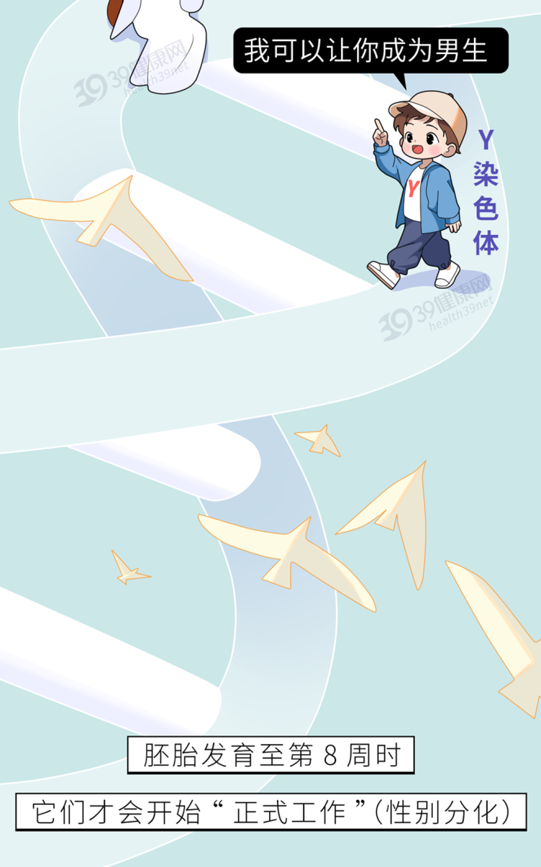人体最没用的4大器官,很多人已经消失,你身上还剩几个?