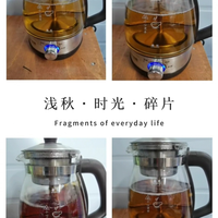 看着煮茶器煮茶的过程也很解压