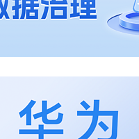 华为数字治理经验，首次披露！