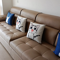 直排猫爪科技布沙发床：客厅的多功能变形金刚