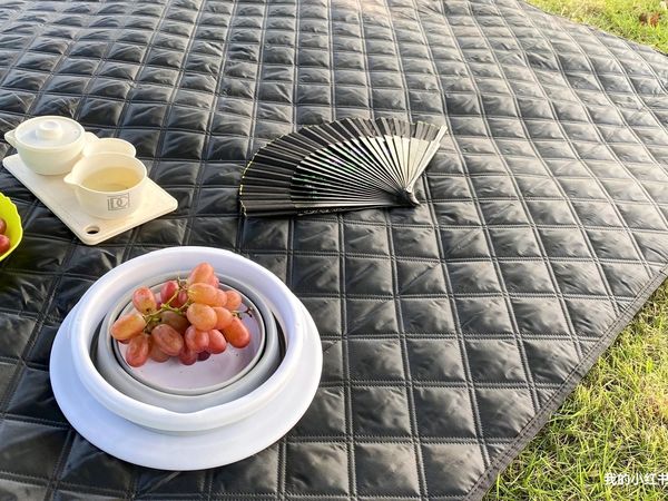 一杯奶茶钱十多块钱的超声波野餐垫好价