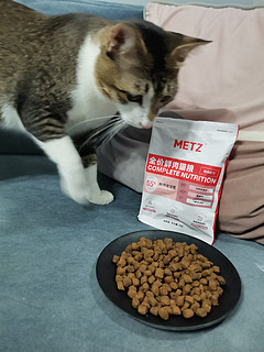 玫斯猫粮到底有什么魔力让三只猫猫同时开餐