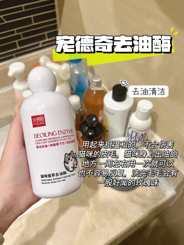 说下最近风很大的猫咪去油膏…