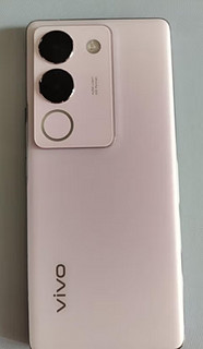 vivo S17 8GB+256GB 花海 前置5000万广角柔光 后置智慧柔光环 1.5K超视网膜屏 5G全网通 