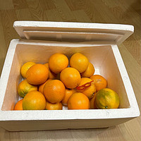 水果生鲜 篇一：肉质脆嫩、浓郁橙香味、口感甜酸适度的赣南脐橙新鲜出炉了！