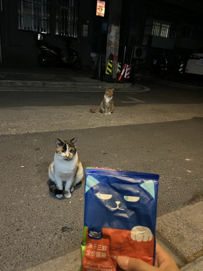 猫咪干粮