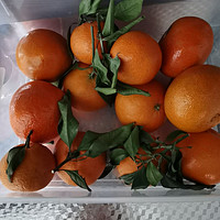 果冻橙：口感鲜美，让你爱上吃水果的感觉!