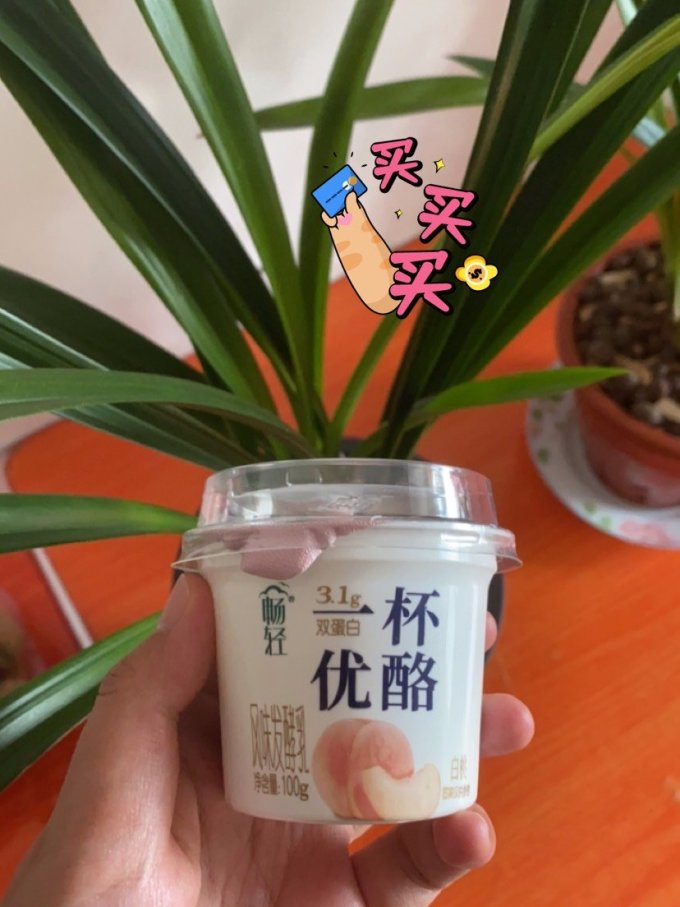 畅轻低温酸奶