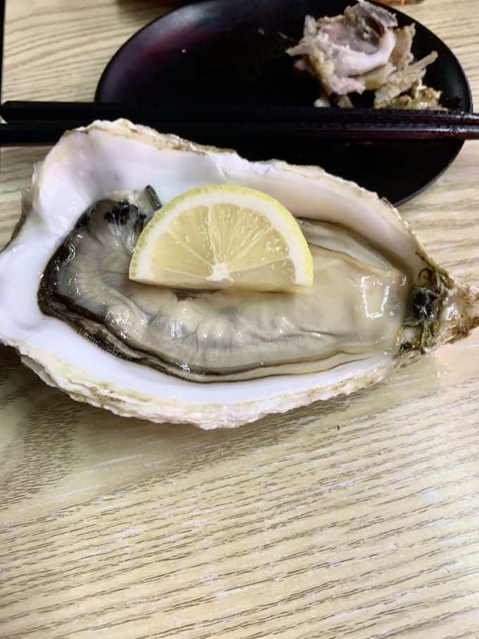 吉娜朵贝类