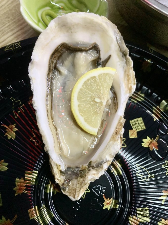 吉娜朵贝类