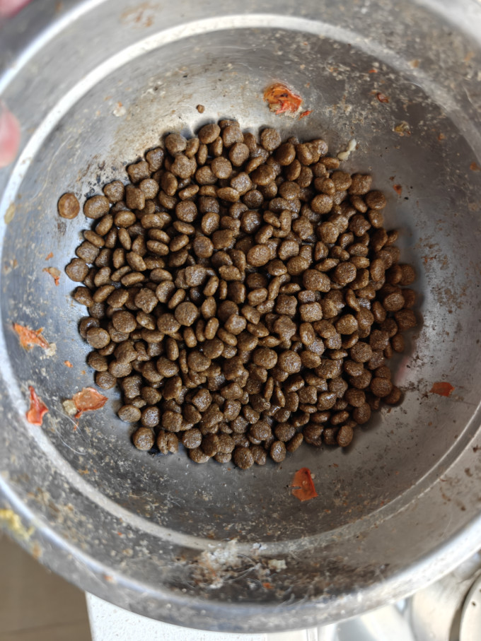 麦富迪狗粮
