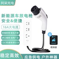 阿呆充电新能源汽车外放电枪插排