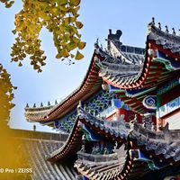 这么近那么美之正定临济寺
