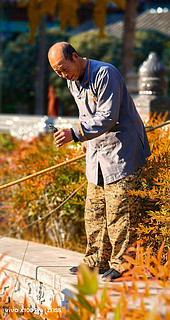 这么近那么美之正定临济寺