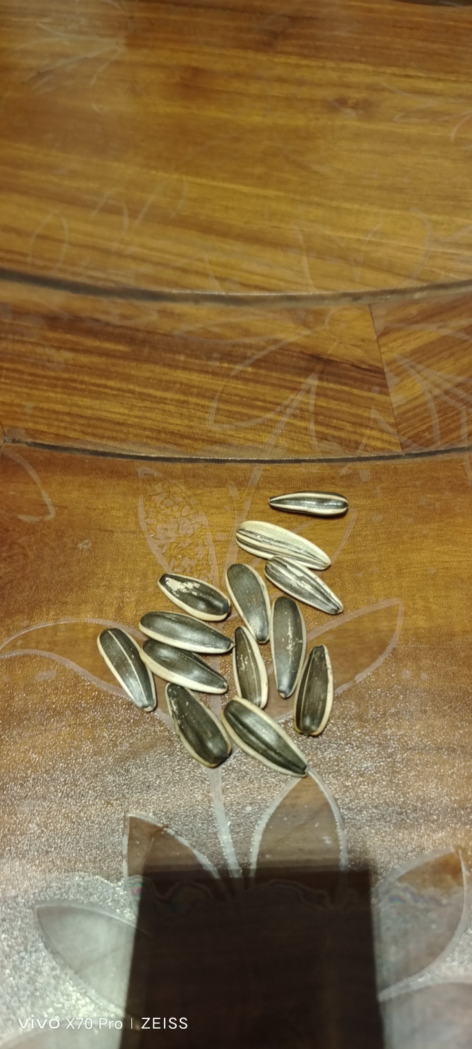 粒上皇瓜子
