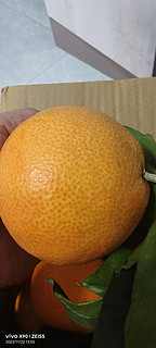 爱上爱媛橙，让你的味蕾在瞬间惊艳!