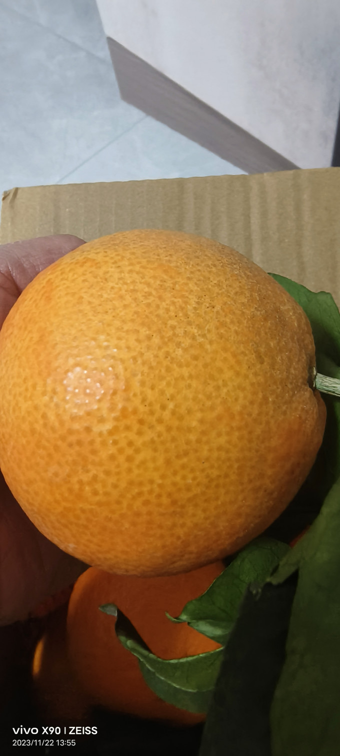 三萌果蔬新鲜水果